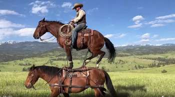 Приложение Sora стало хитом скачиваний в App Store, несмотря на ограниченный доступ