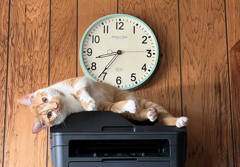 Windows 11 перестанет поддерживать устаревшие драйвера принтеров V3 и V4 после следующего обновления