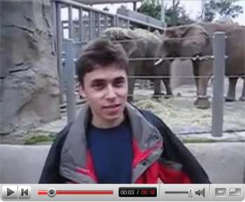 Первое видео на YouTube стало музейным экспонатом