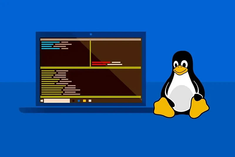 Windows 11 получит более глубокую интеграцию с Linux — специально для разработчиков