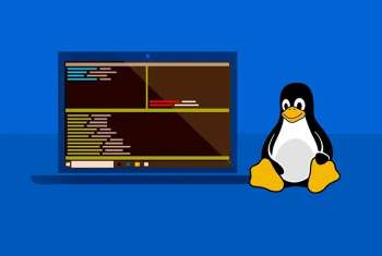 Windows 11 получит более глубокую интеграцию с Linux — специально для разработчиков